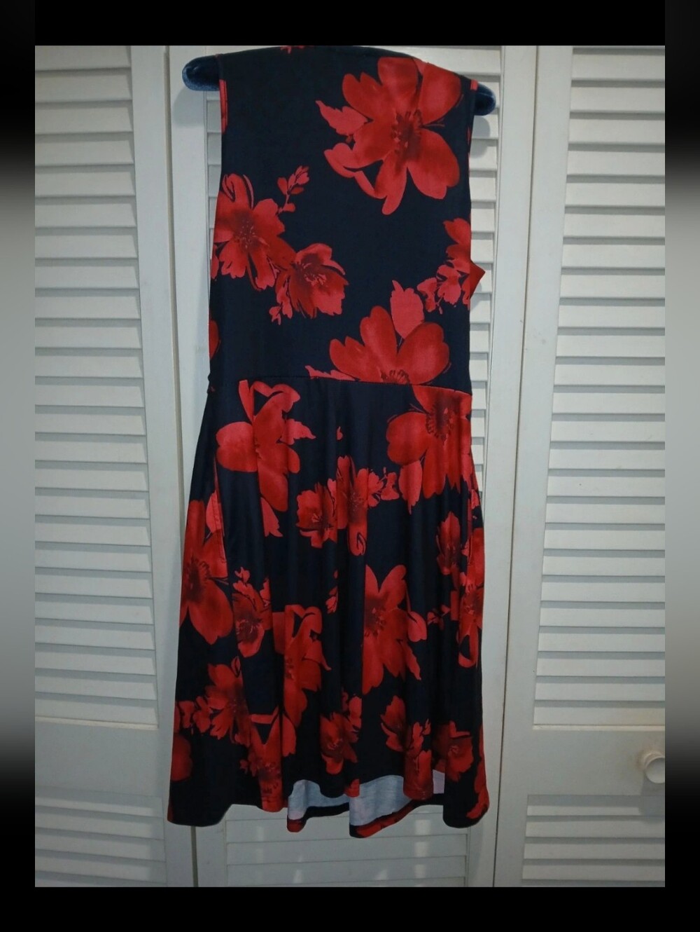 Women's Large Black & Red Floral Sleeveless V-Neck Fit & Flare Dress new - Picture 2 of 3